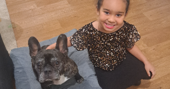 melissa pet sitter à Guichen 35580_2