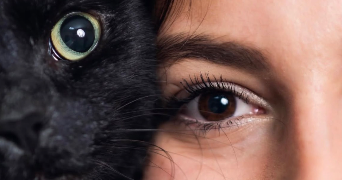 eléa pet sitter à LE PRADET 83220_2