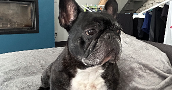 mathilde pet sitter à RODEZ 12000_2