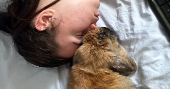 lilas pet sitter à CHELLES 77500_3