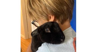 laure pet sitter à STRASBOURG 67000_3