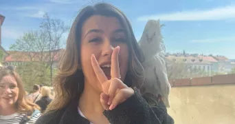 lilou pet sitter à Saint Maur des Fossés 94210