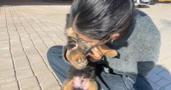 malak pet sitter à VALENCIENNES 59300