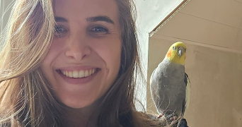 constance pet sitter à L ISLE ADAM 95290_0