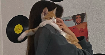 jeanne pet sitter à NYONS 26110_2
