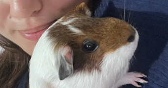 léa pet sitter à IVRY SUR SEINE 94200_1