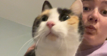 auristelle pet sitter à AUBAGNE 13400_3