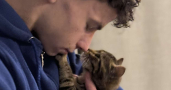 maxime pet sitter à DINAN 22100_0