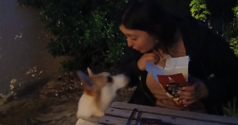 lola pet sitter à LA ROCHELLE 17000_2