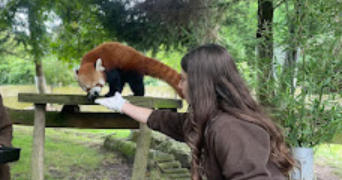 alyssa pet sitter à VERSAILLES 78000_2