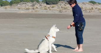 aurelie dog sitter à LASALLE 30460_1