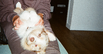chloé pet sitter à ST NAZAIRE 44600_2