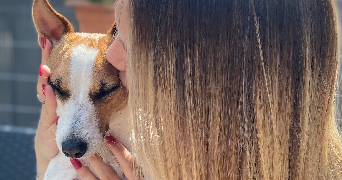 lilou pet sitter à Ostwald 67540_1