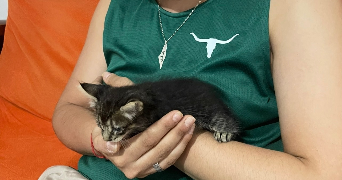 merzak cat sitter à PARIS 14 75014_2