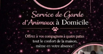 april pet sitter à ISTRES 13800_3