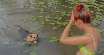 elodie pet sitter à BONNEVAL 28800_9