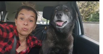 virginie pet sitter à GRADIGNAN 33170_0