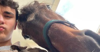 mathis pet sitter à SALIGNAC SUR CHARENTE 17800_2