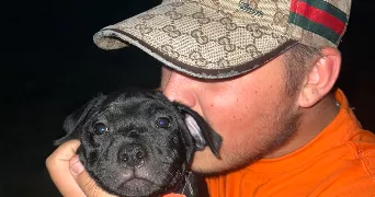 bryan pet sitter à PEROLS 34470