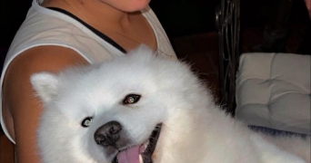 florine pet sitter à SARTROUVILLE 78500_0