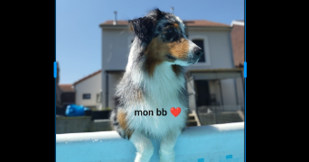 lissandra pet sitter à Tucquegnieux 54640_3
