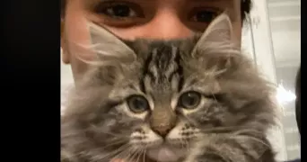 oumy pet sitter à MARSEILLE 16 13016