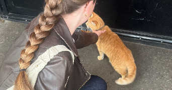 emma cat sitter à PARIS 14 75014_3