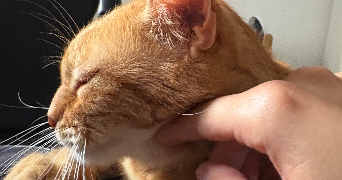 eva pet sitter à ANTIBES 06600_1