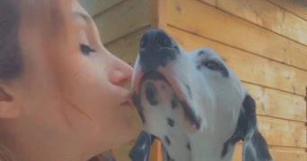 sandra pet sitter à VIZILLE 38220_5
