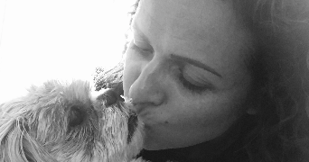 karine dog sitter à AUDENGE 33980_0
