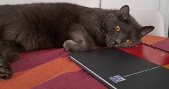 alexandra pet sitter à ISSY LES MOULINEAUX 92130_1