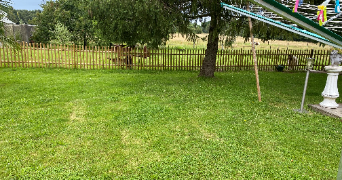 sophia pet sitter à ST SEBASTIEN SUR LOIRE 44230_1