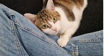 juliette pet sitter à NANTES 44100_2
