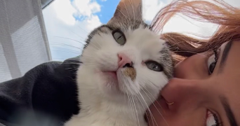 oanel pet sitter à CHANTRAINE 88000_1