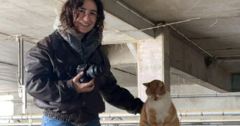 valentine pet sitter à ARRAS 62000_3