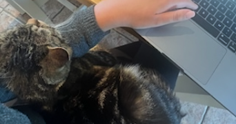 nicole pet sitter à PARIS 04 75004_3