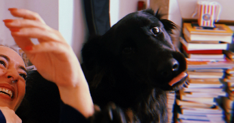 florianna pet sitter à Alfortville 94140_7