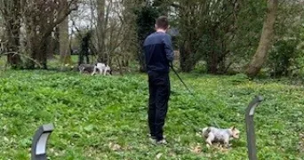 depuydt louis pet sitter à UXEM 59229