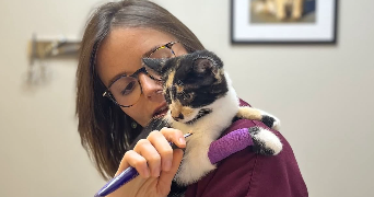 valentine pet sitter à RENNES 35000_3