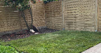 marine pet sitter à DEUIL LA BARRE 95170_0