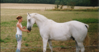 sandra pet sitter à MORVILLE SUR ANDELLE 76780_4