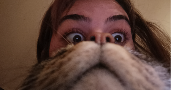blanche pet sitter à DIJON 21000_0