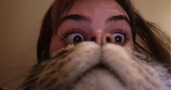 blanche pet sitter à DIJON 21000