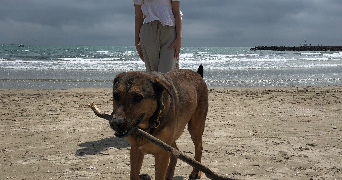 celeste pet sitter à ARCUEIL 94110_4