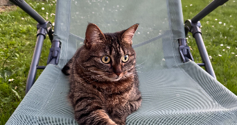 camille pet sitter à FENEU 49460_4