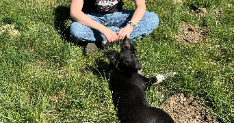 charlotte pet sitter à PARIS 05 75005_2
