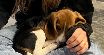 adele pet sitter à PARIS 06 75006_1