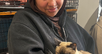 amira asma pet sitter à NOISY LE GRAND 93160_0