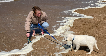 justine  pet sitter à CAEN 14000_1