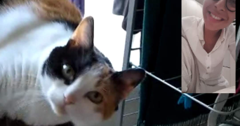 héléna cat sitter à ST MAUR DES FOSSES 94100_8